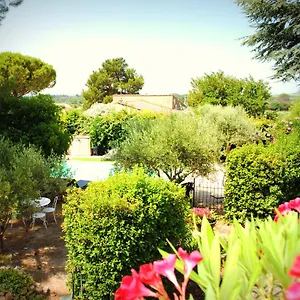 Terre De Bacchus Vacqueyras